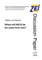 ZEI-DP-067-2000.pdf