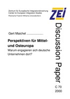 ZEI-DP-070-2000.pdf